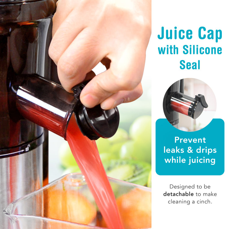 Tribest Shine Vertical Cold Press Juicer & Reviews Wayfair